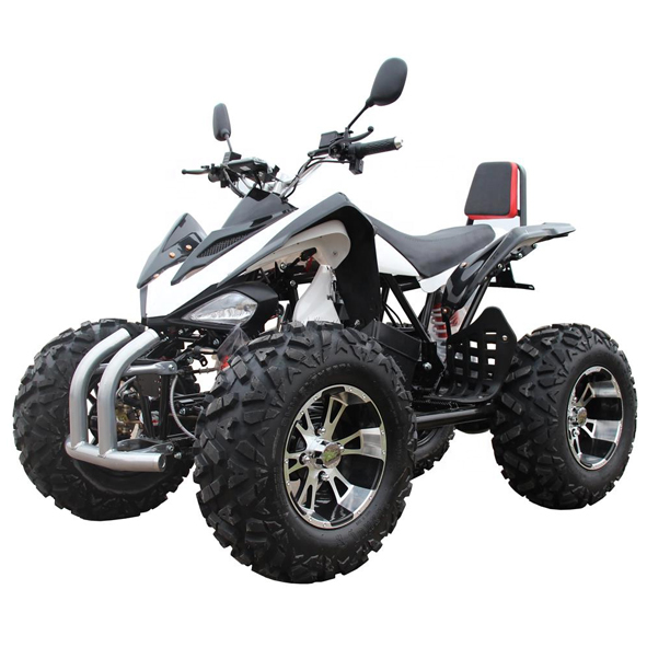 ATV điện nhỏ